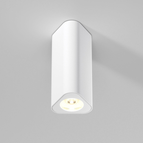 25110/LED Elektrostandard