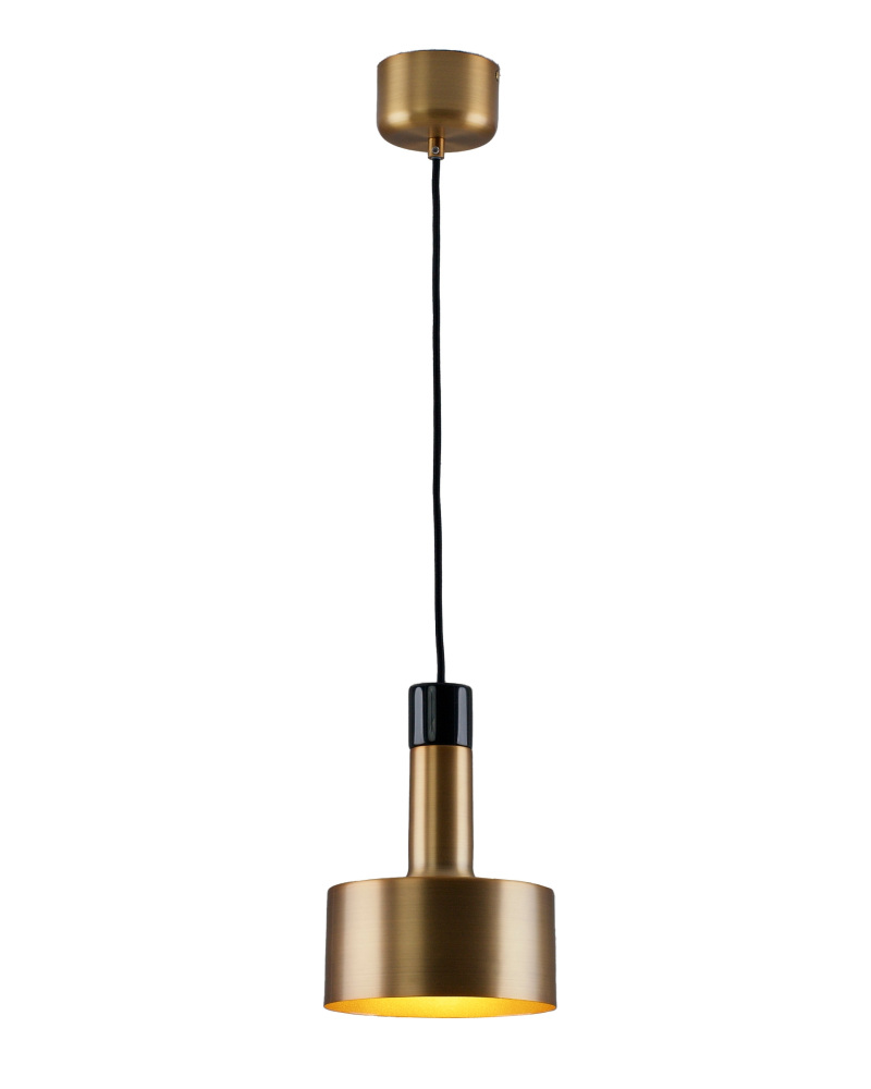 V11317-1P Moderli