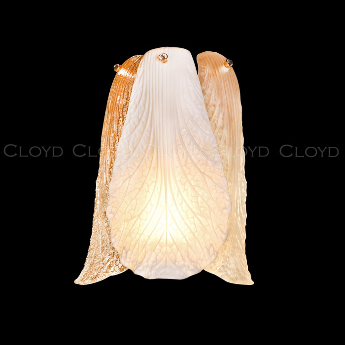 20416 Cloyd