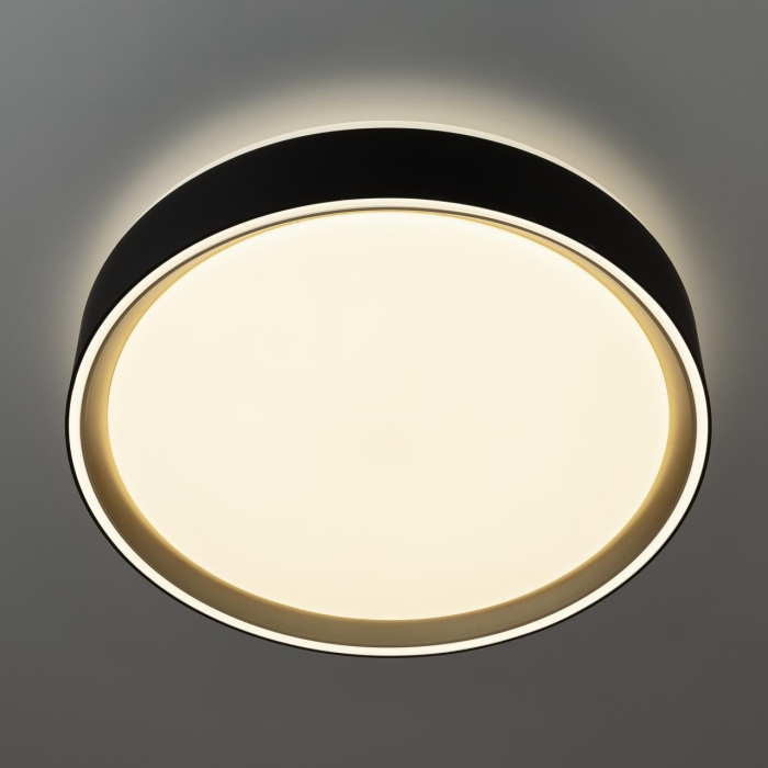 CL751251G Citilux