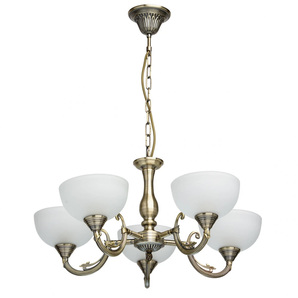 318011205 MW-Light
