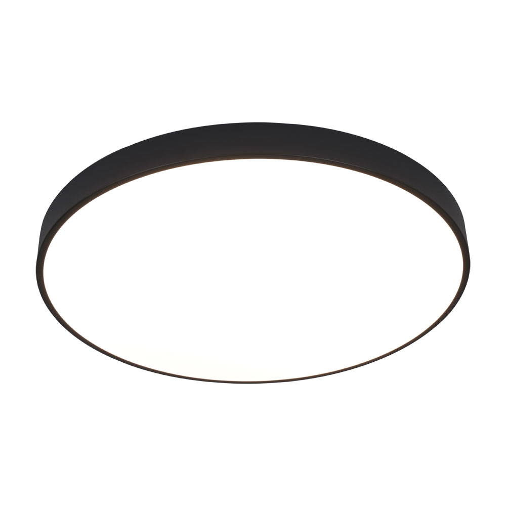 A2673PL-1BK Arte Lamp