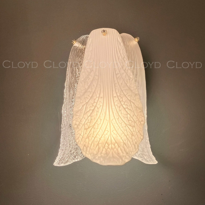 20416 Cloyd