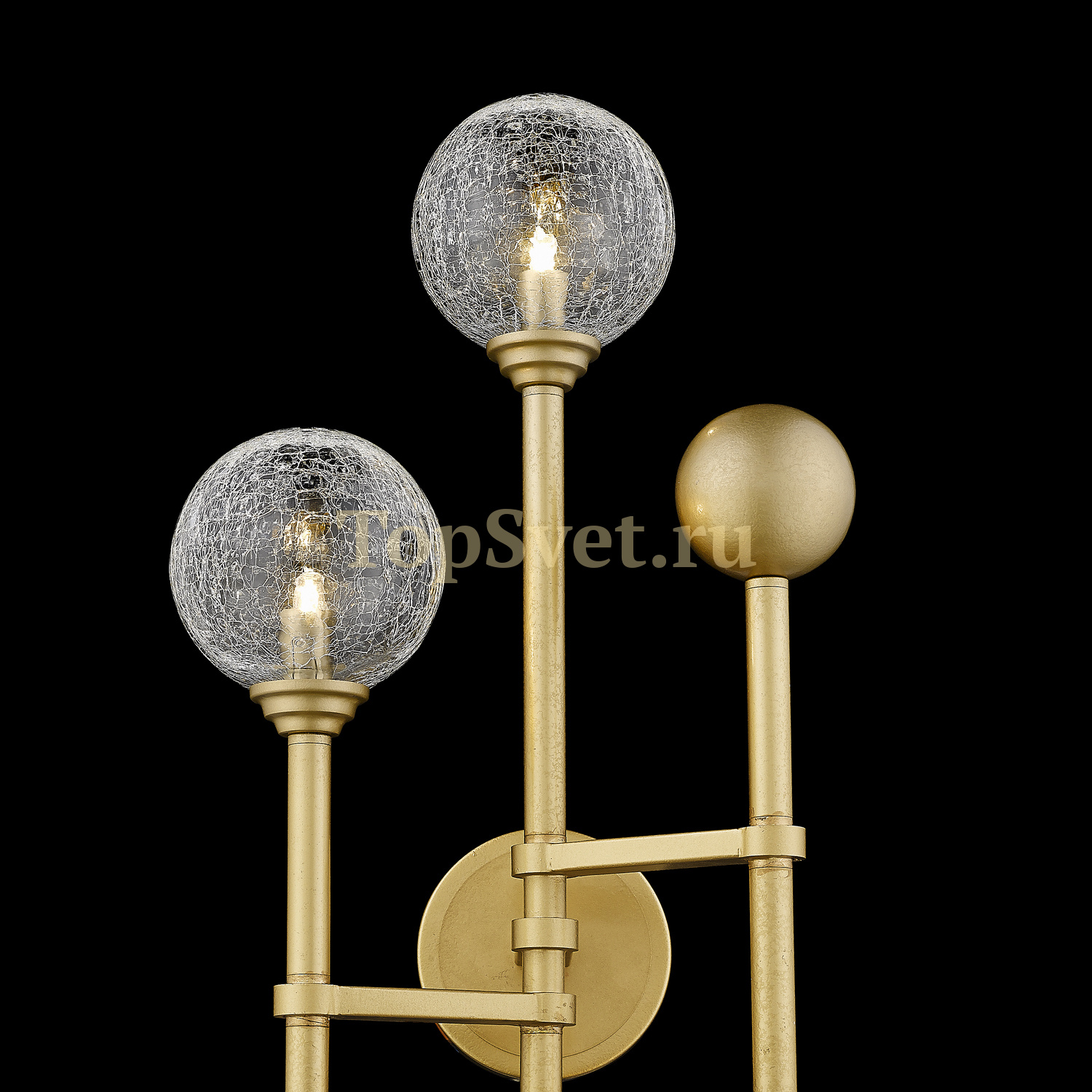 W68084-3 gold Delight Collection