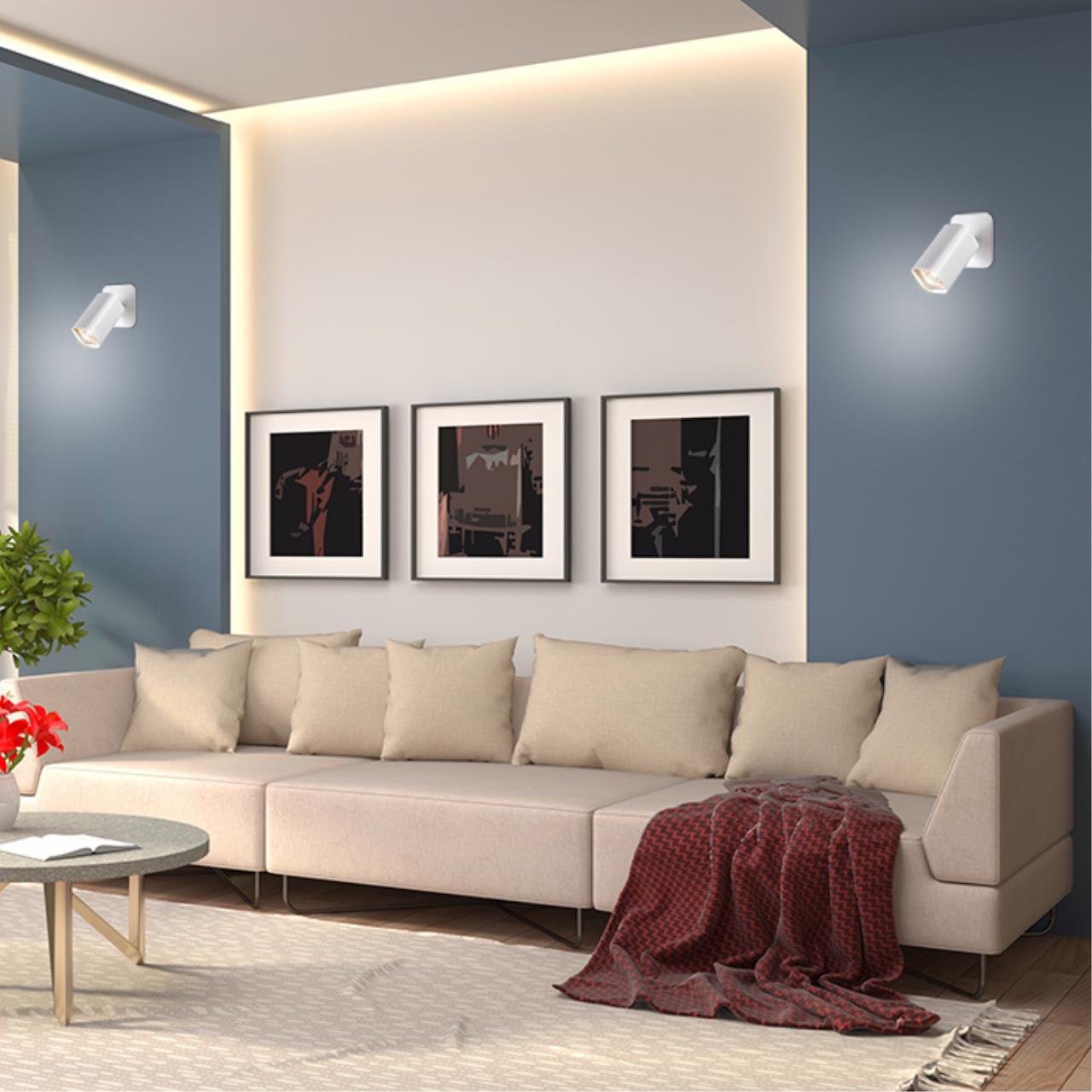 370553 Novotech