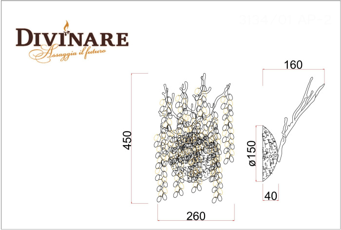 3134/01 AP-2 Divinare
