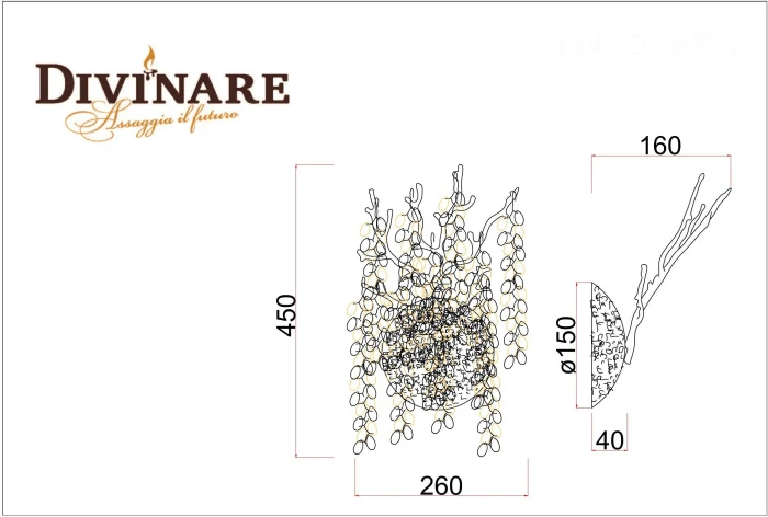 3134/01 AP-2 Divinare