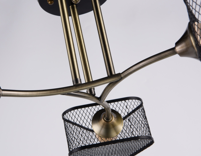 TR80171 Ambrella