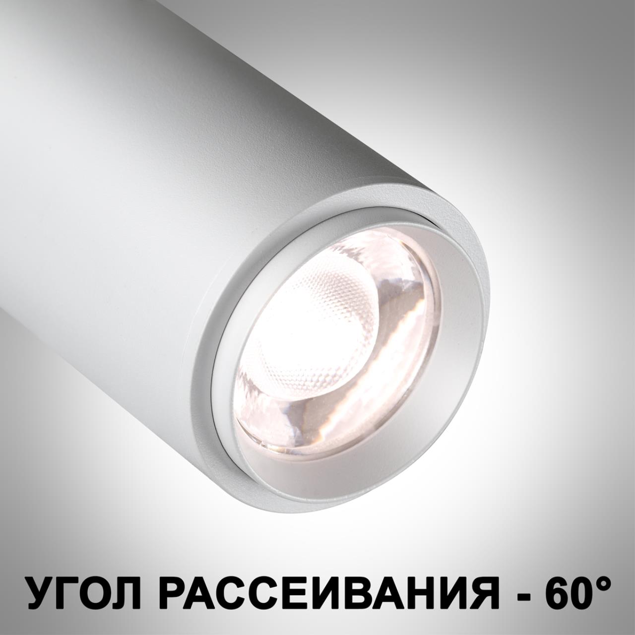 359206 Novotech