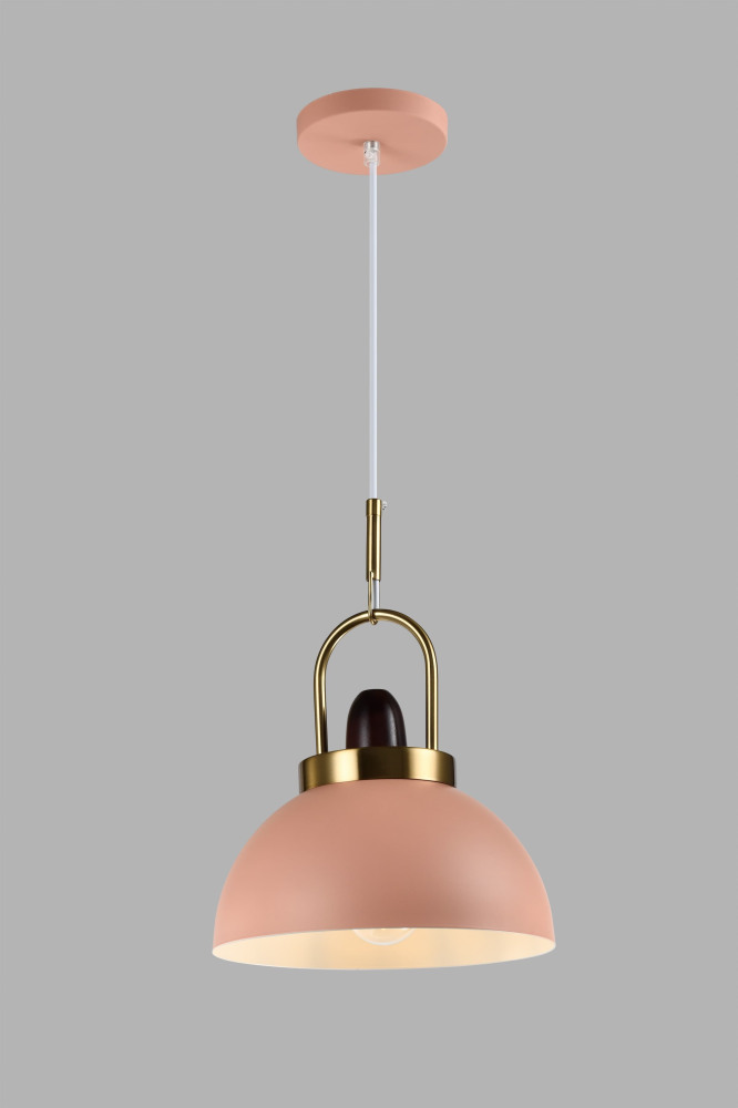 V10449-1P Moderli