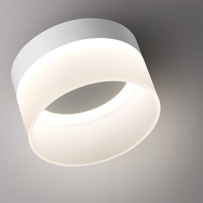 359445 Novotech