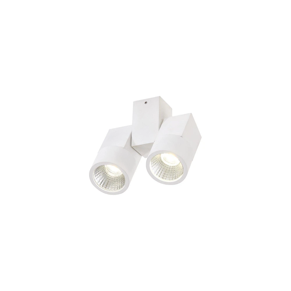 CL556100 Citilux