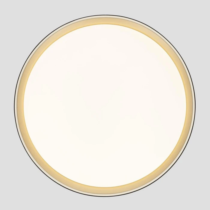 CL751451G Citilux