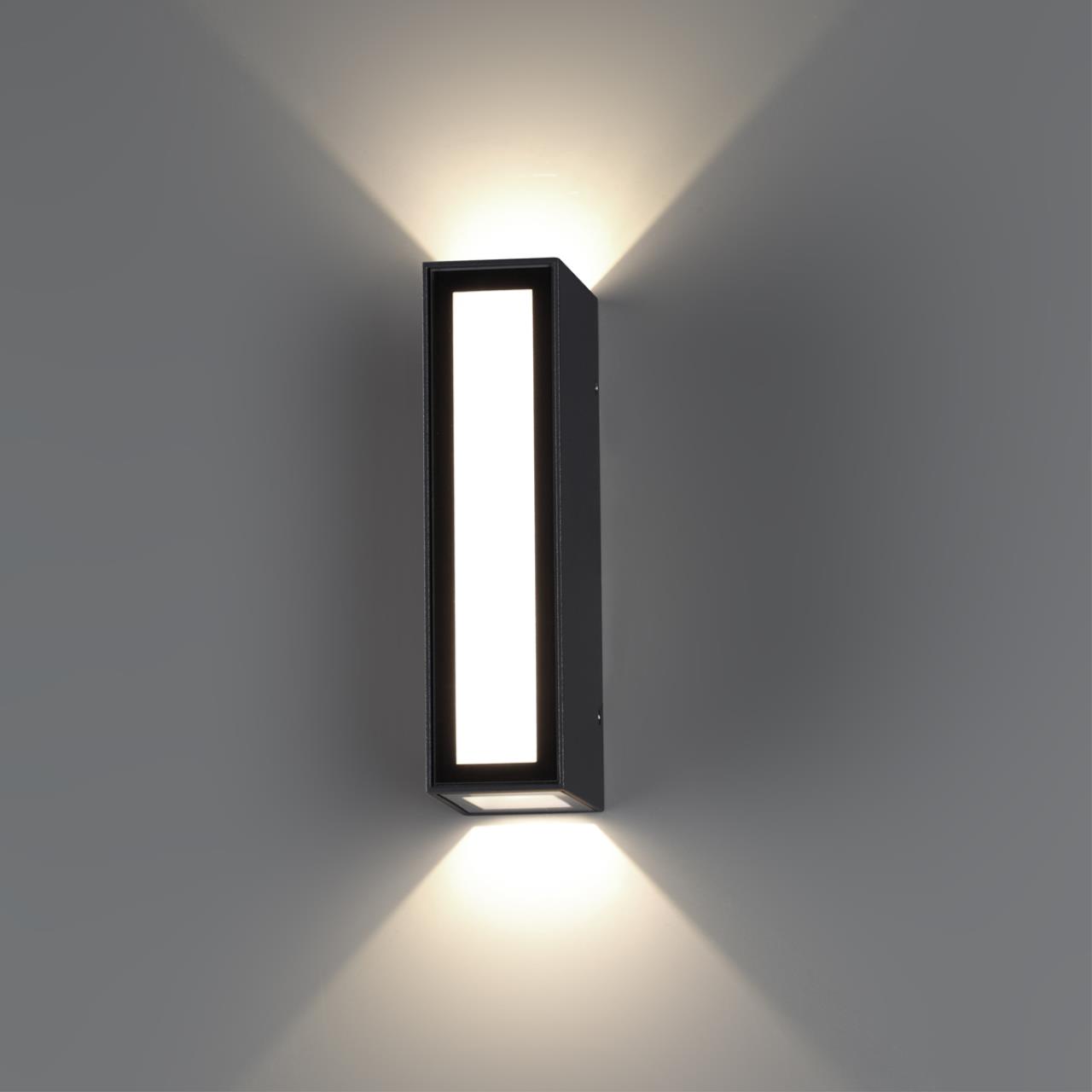 359194 Novotech
