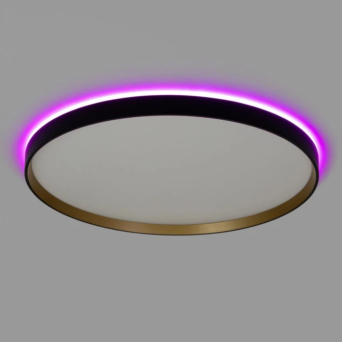 CL750501R Citilux