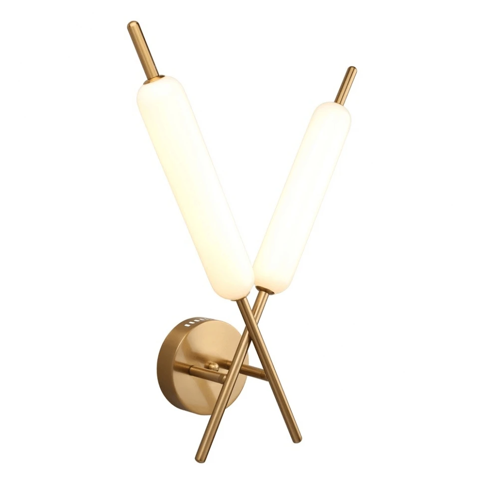 APL.010.01.16 Aployt