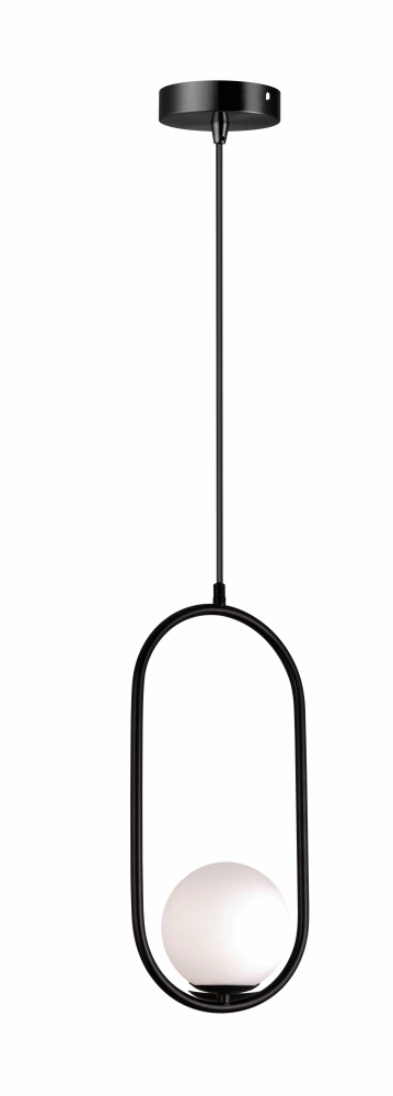 V11586-1P Moderli
