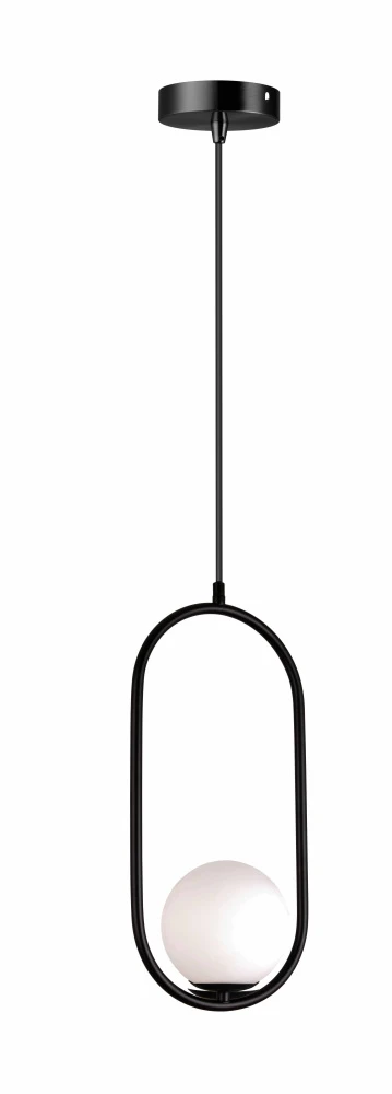 V11586-1P Moderli