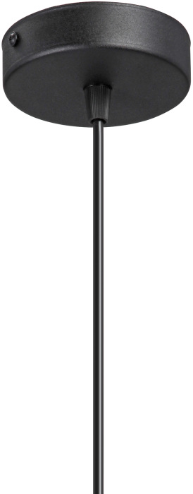 V2952-1/1S