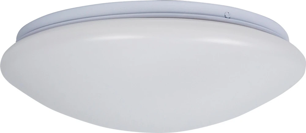 BR00568 Brizzi