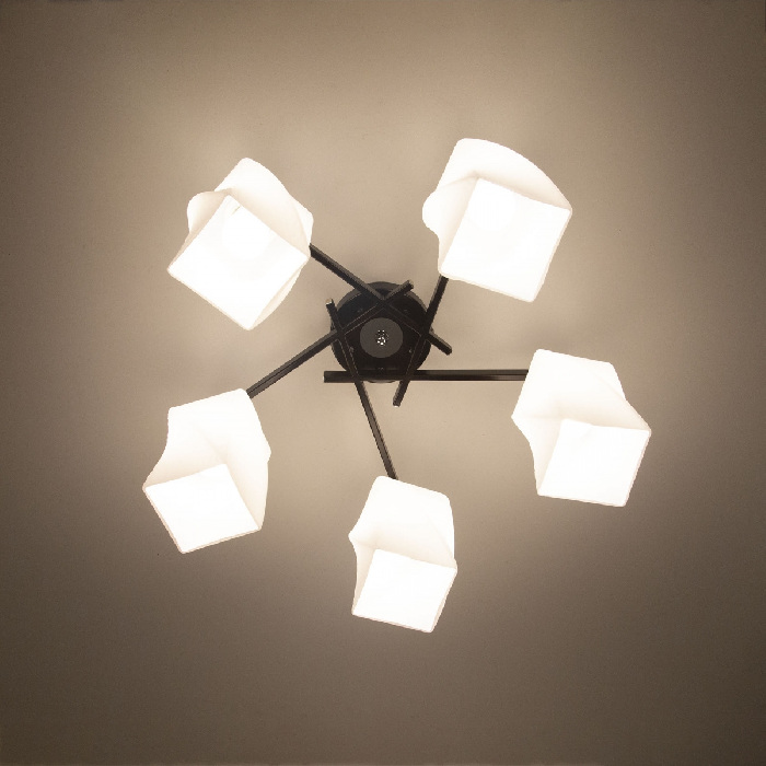 CL135151 Citilux