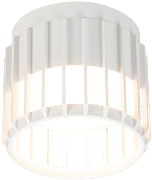 A8031PL-1WH Arte Lamp
