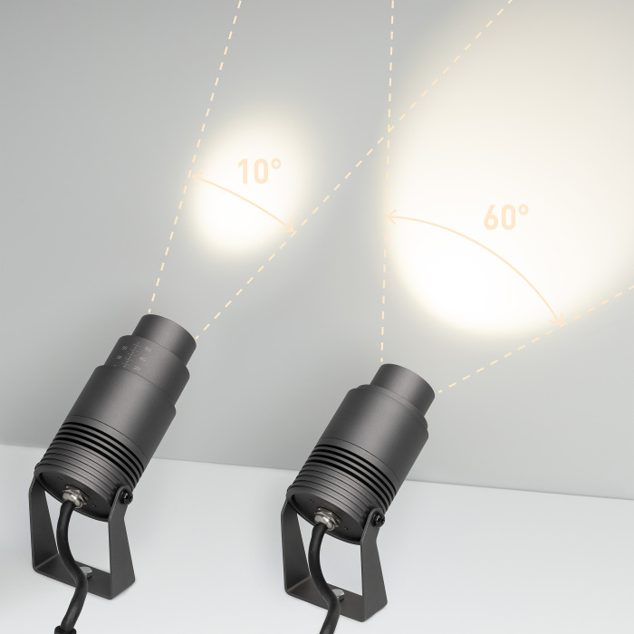 026447 Arlight