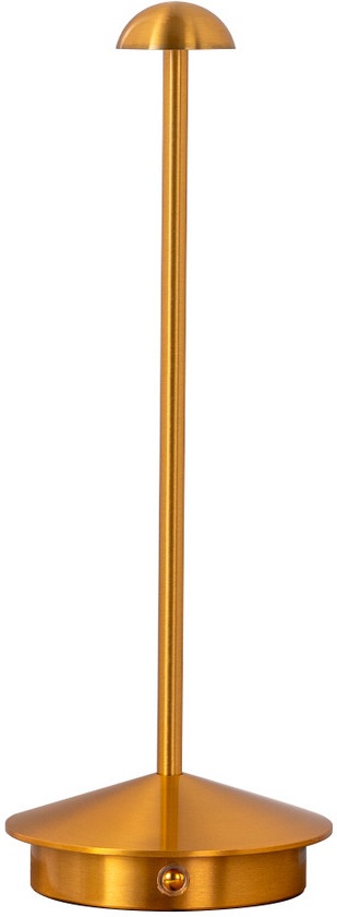 07208-T,20 Kink Light