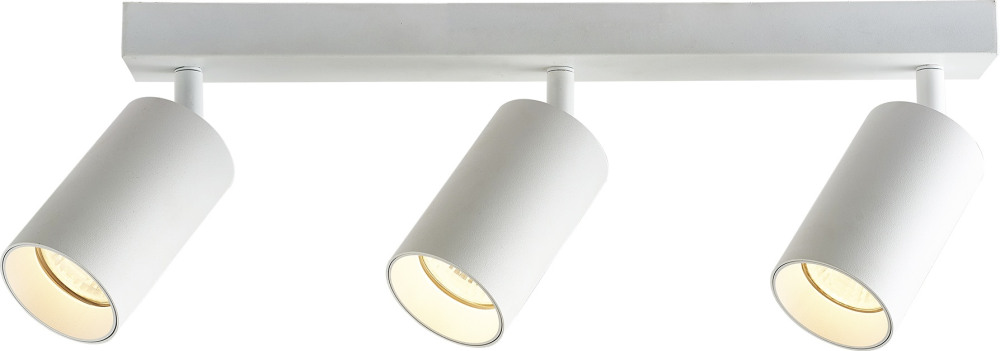 BR08087 Brizzi