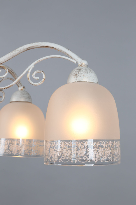 OML-54907-05 Omnilux