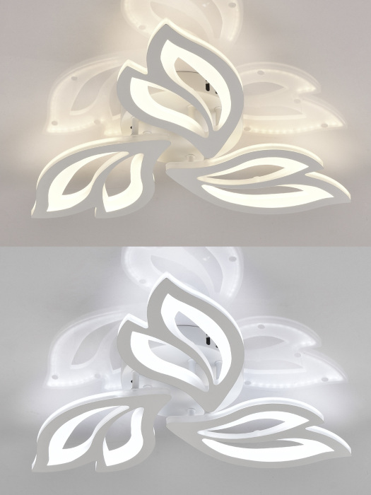 LED LAMPS 81426 Natali Kovaltseva