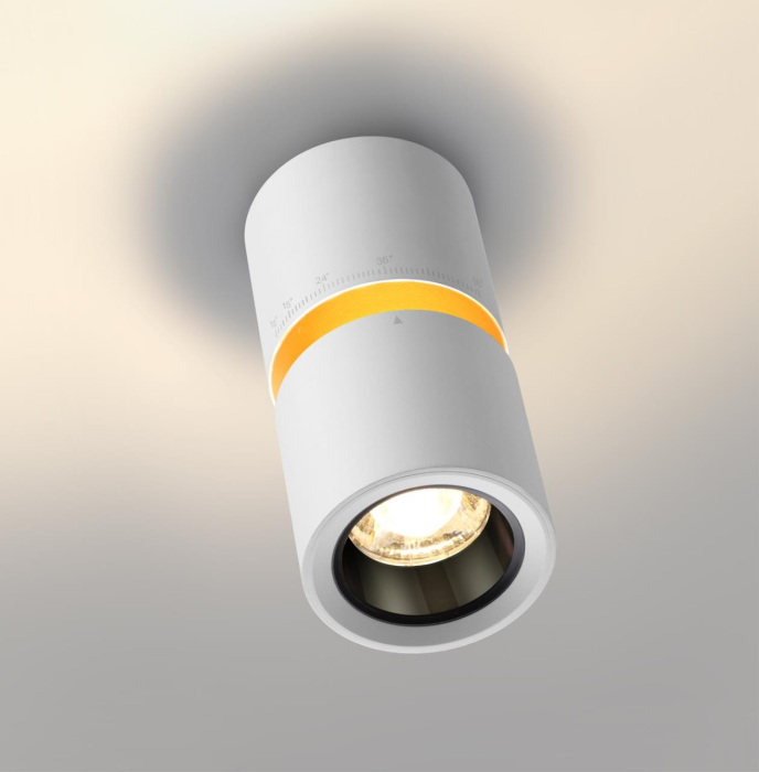 359337 Novotech